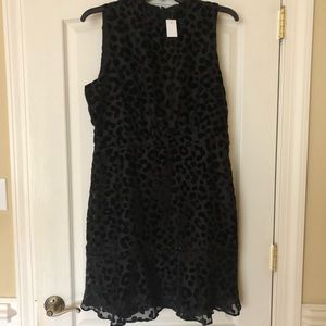 Ann Taylor Black Dress With Leopard Print